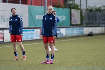 Bild 48 - wBJ Hamburger SV - FC Suederelbe : Ergebnis: 9:0